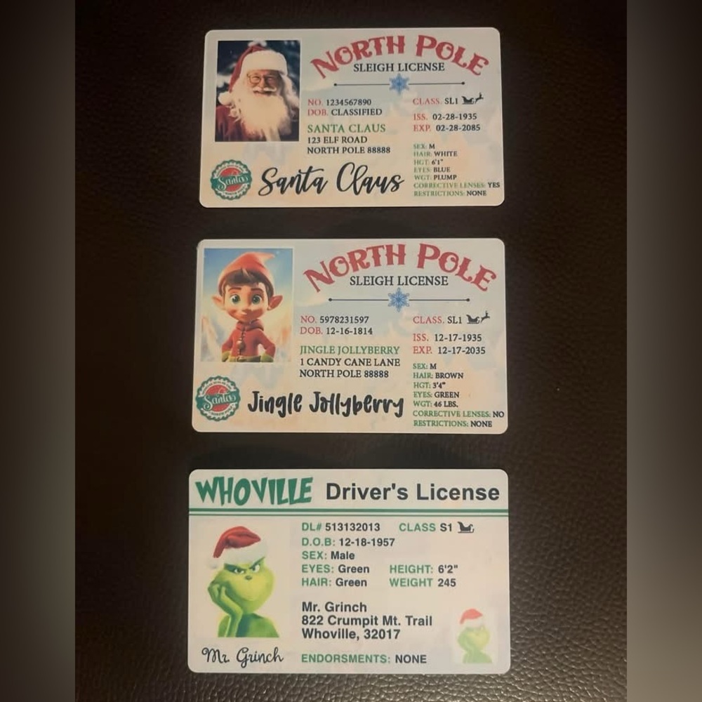 Fun lost Christmas driver license